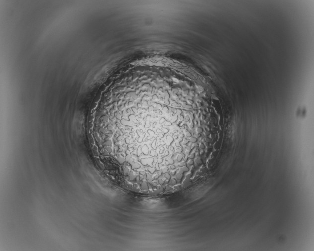 X0000111050283200906251440