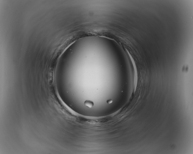 X0000111050284200906251440