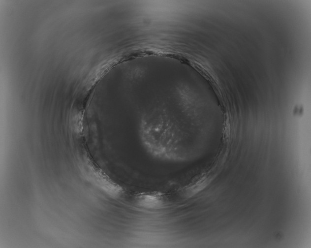 X0000111050285200906251440