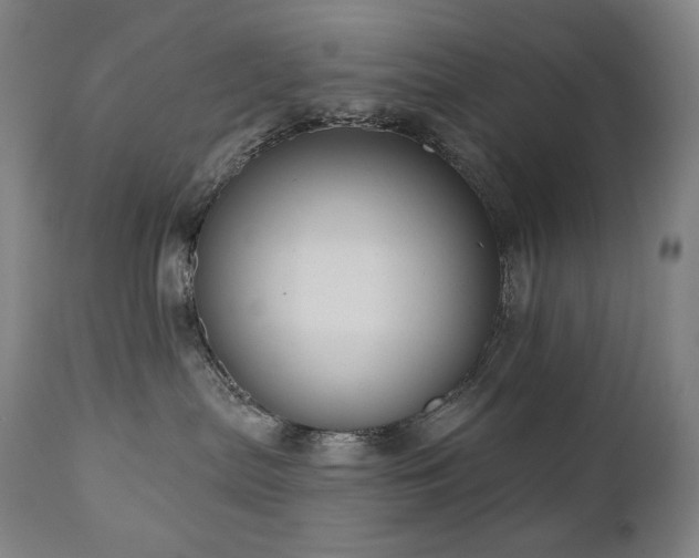 X0000111050287200906251440