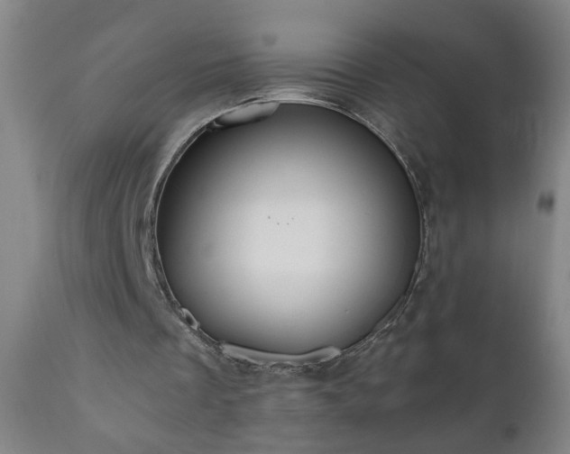 X0000111050289200906251440