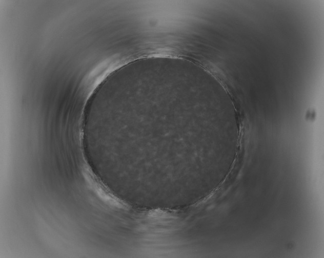 X0000111050290200906251440