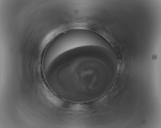 X0000111050293200906251440