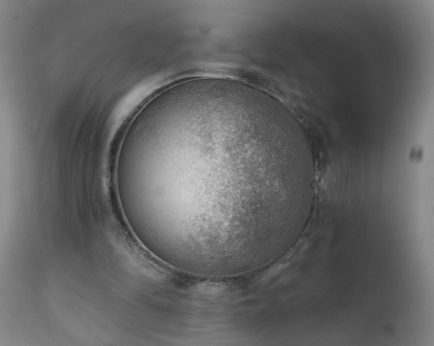 X0000111050294200906251440