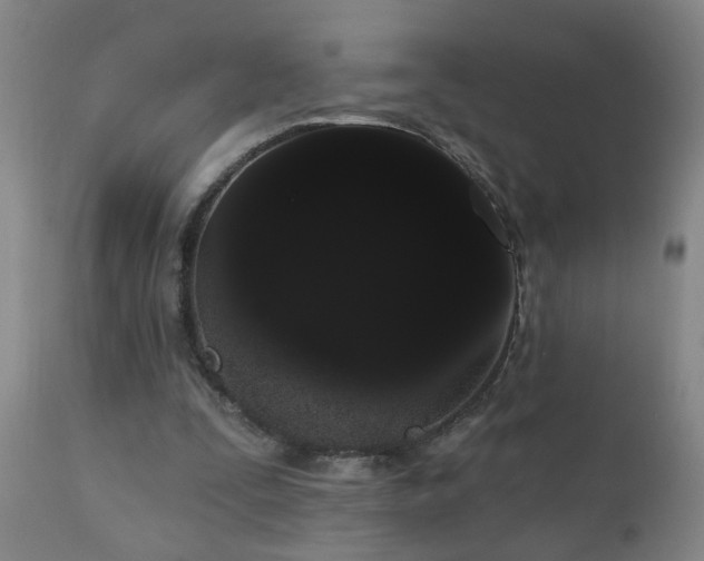 X0000111050295200906251440