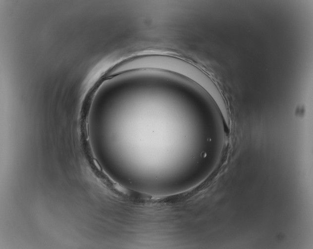 X0000111050296200906251440