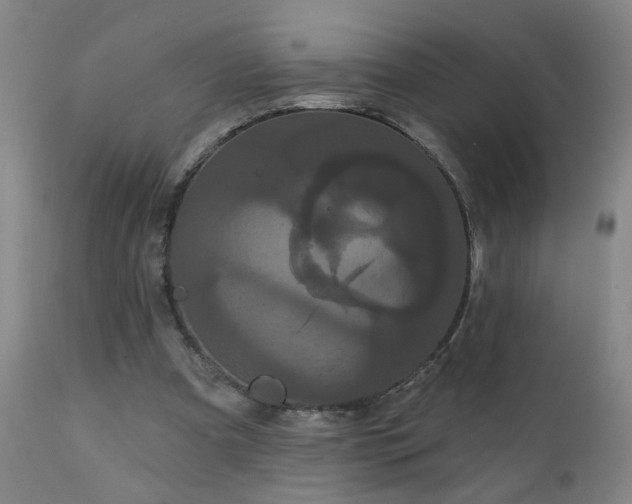 X0000111050297200906251440