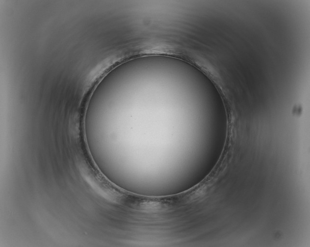 X0000111050298200906251440