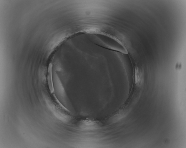 X0000111050300200906251440