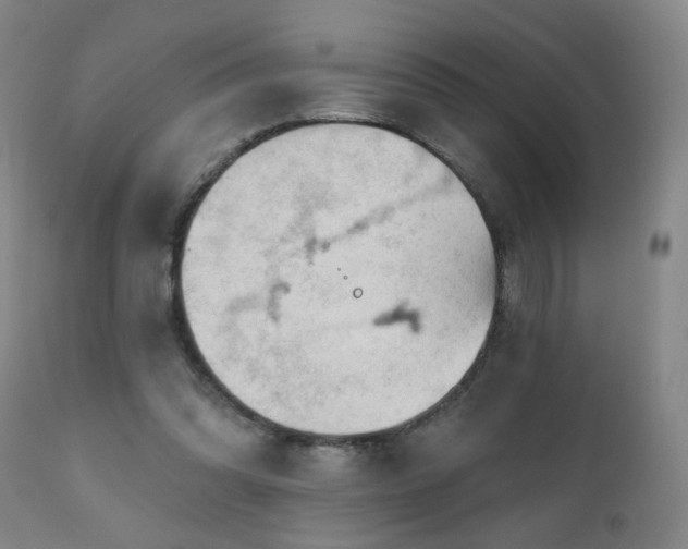 X0000111050302200906251440