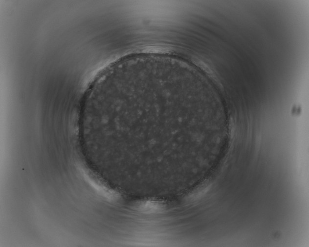 X0000111050303200906251440