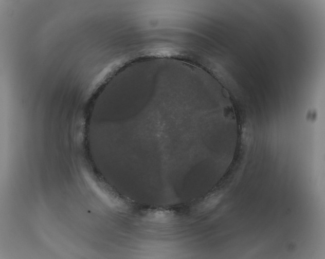 X0000111050304200906251440