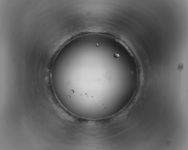 X0000111050305200906251440