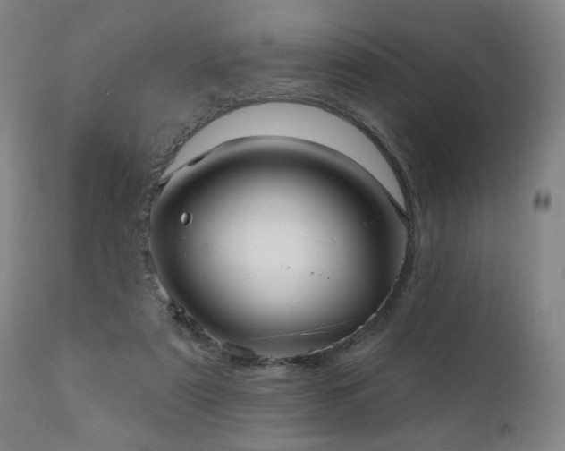 X0000111050307200906251440