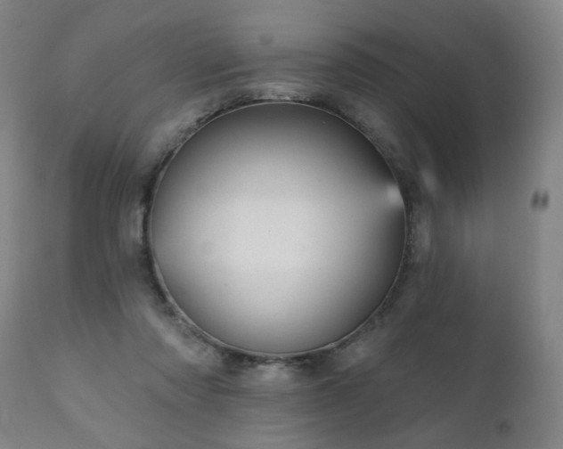 X0000111050310200906251440