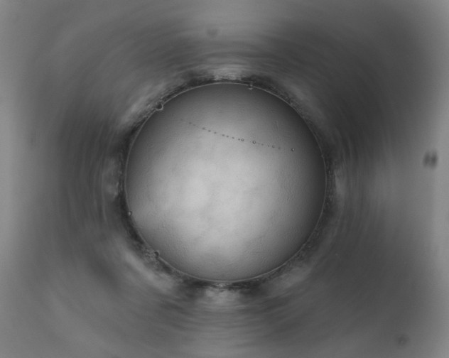 X0000111050311200906251440