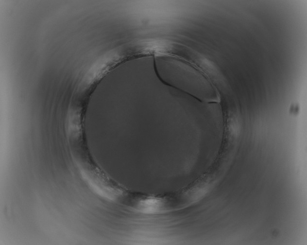 X0000111050312200906251440