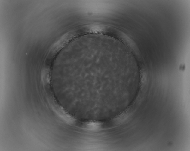 X0000111050313200906251439