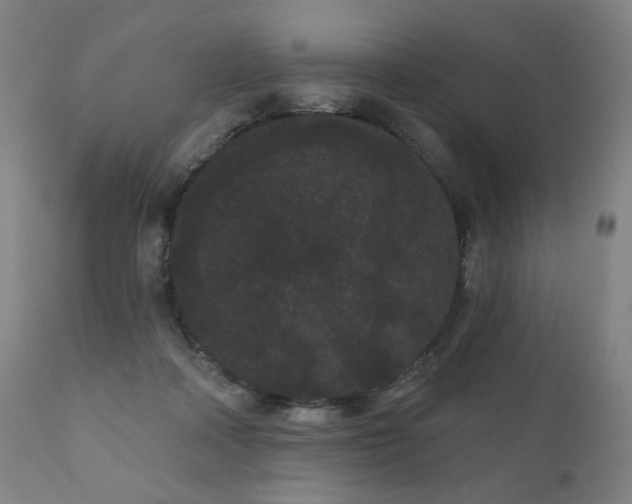 X0000111050314200906251439