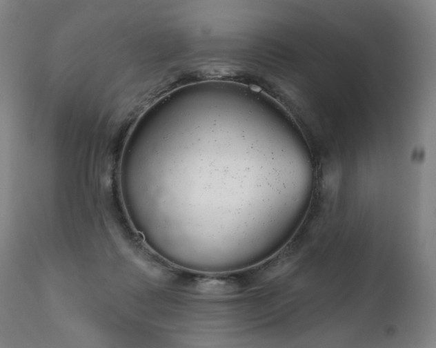 X0000111050315200906251439