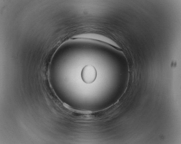 X0000111050316200906251439