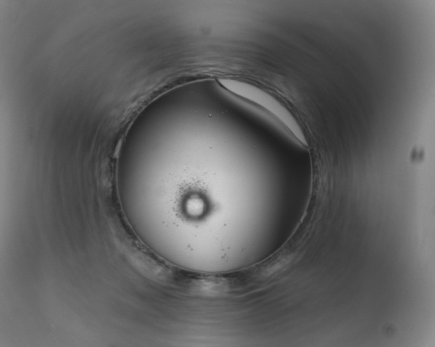 X0000111050317200906251439