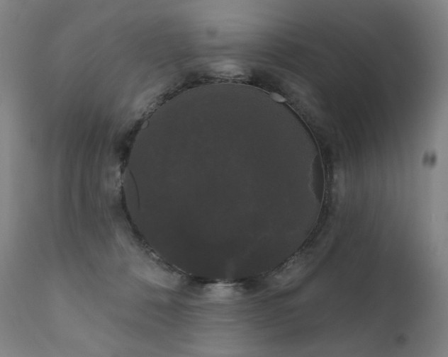 X0000111050320200906251439