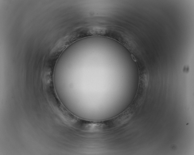 X0000111050323200906251439