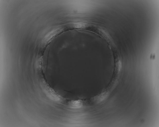 X0000111050325200906251439