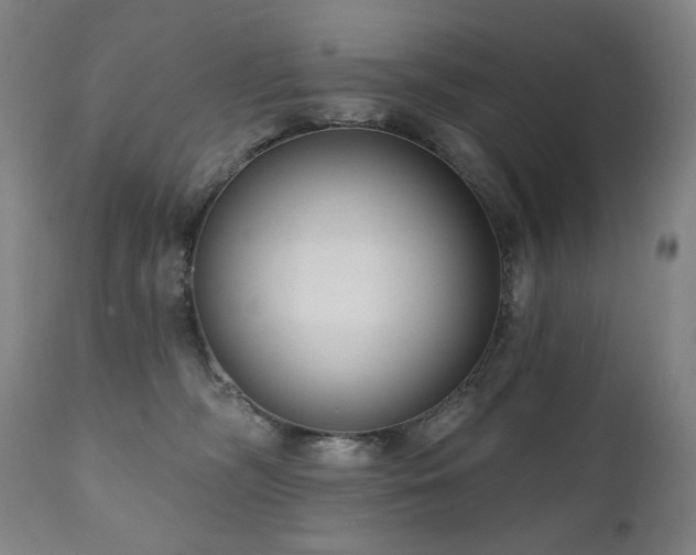 X0000111050326200906251439