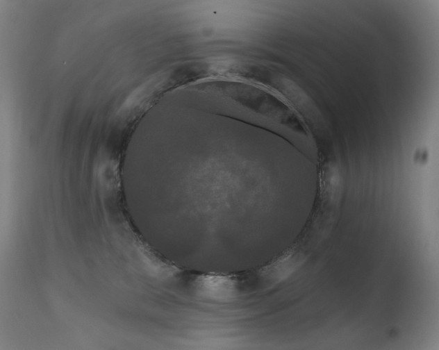 X0000111050327200906251439