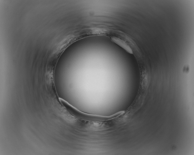 X0000111050329200906251439