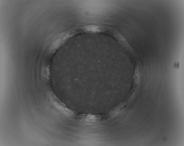 X0000111050330200906251439