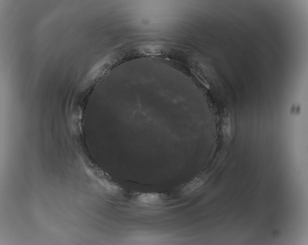 X0000111050332200906251439