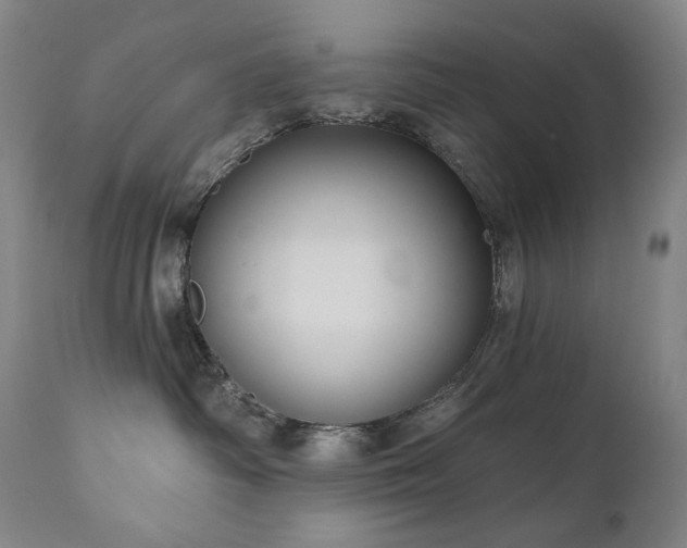 X0000111050334200906251439