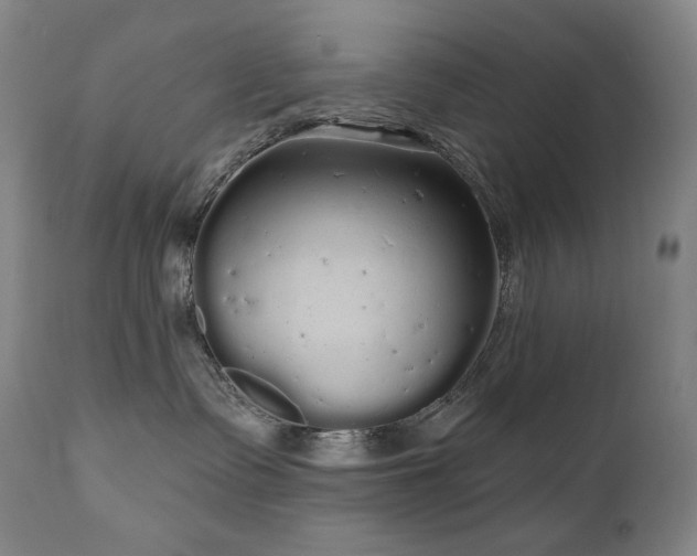 X0000111050335200906251439