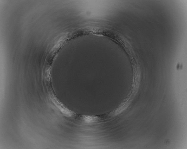 X0000111050336200906251439