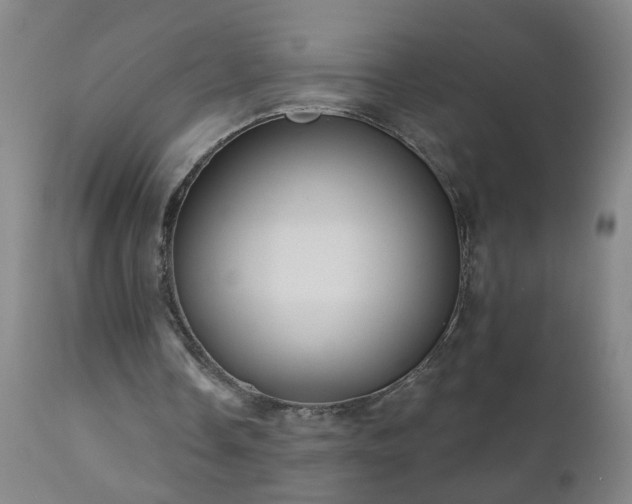 X0000111050338200906251438