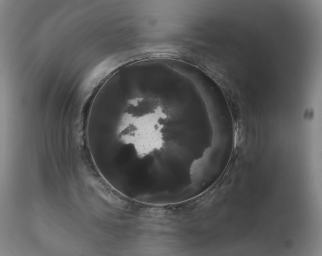 X0000111050339200906251438