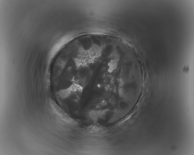 X0000111050343200906251438