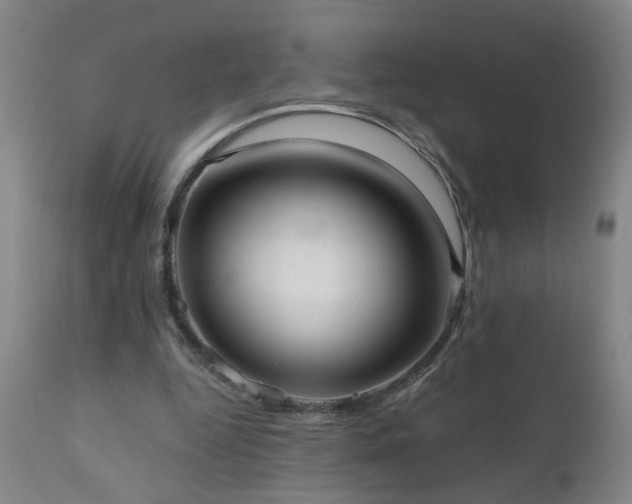 X0000111050344200906251438