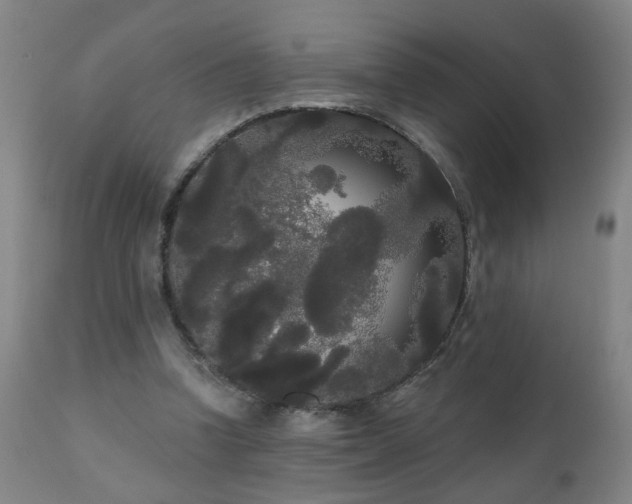 X0000111050346200906251438