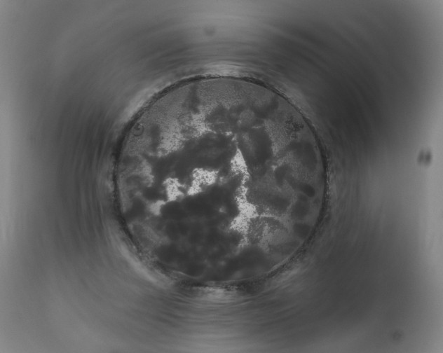 X0000111050347200906251438