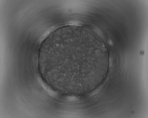 X0000111050349200906251438