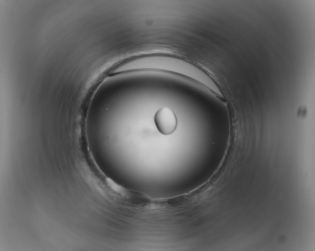 X0000111050350200906251438