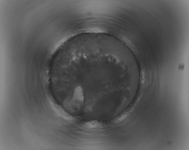 X0000111050351200906251438