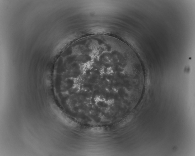 X0000111050353200906251438