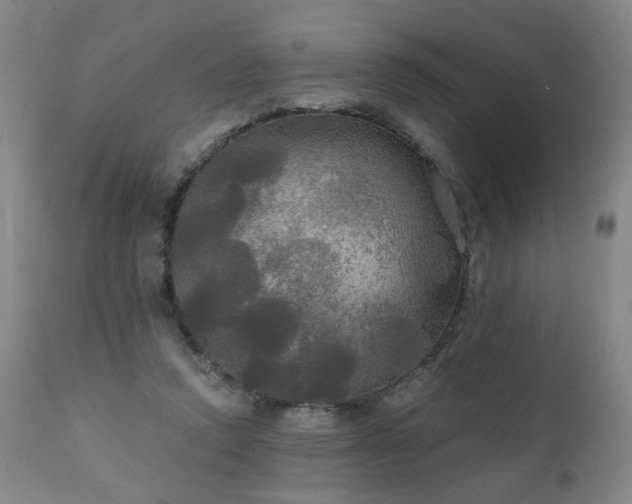 X0000111050354200906251438