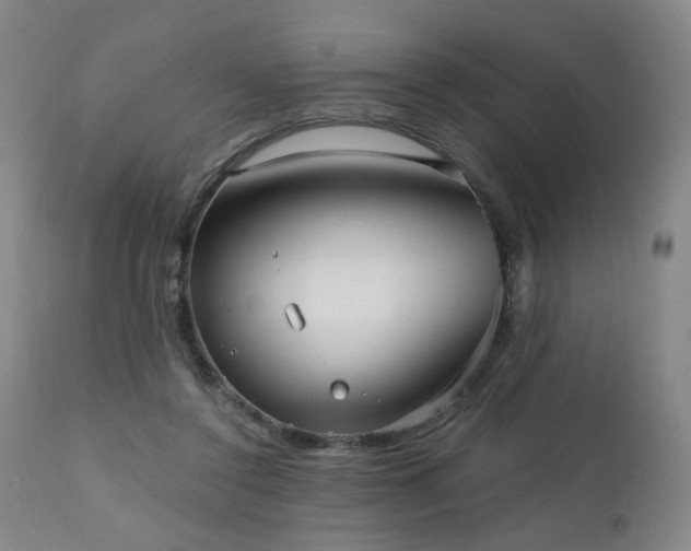 X0000111050356200906251438