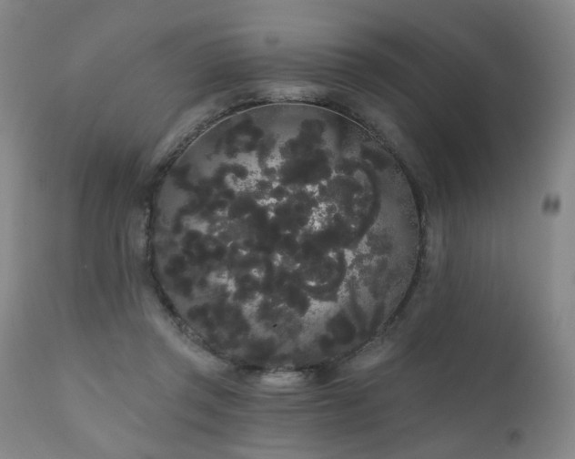 X0000111050357200906251438